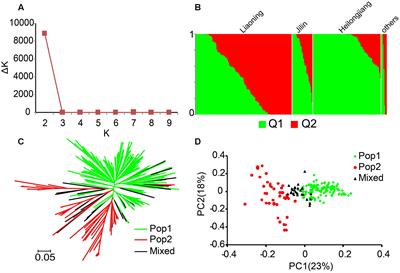 Divergent Hd1, Ghd7, and DTH7 Alleles Control Heading Date and Yield Potential of Japonica Rice in Northeast China